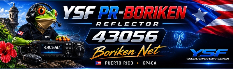 YSF PR-Boriken Reflector 43056 - Boriken Net